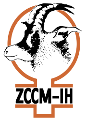 ZCCM Investment Holdings Plc